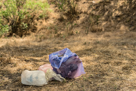 Rubbish collected in trash bags after cleaning forest. Plastic waste in bags left on forest path after cleanup initiativeの写真素材
