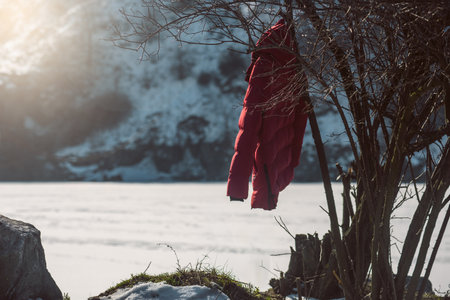 Red winter jacket hanging on tree, bright outerwear in snowy landscapeの写真素材