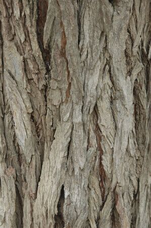 textureの写真素材