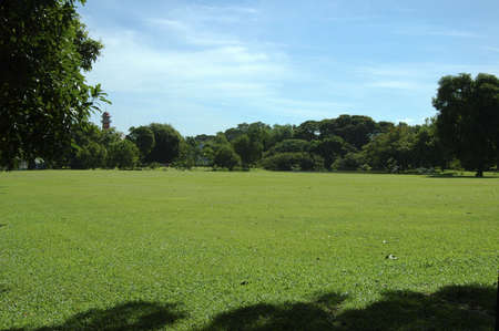 Greenの写真素材