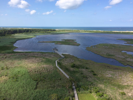 Marsh area seen from Bodie Island Lighthouseの写真素材