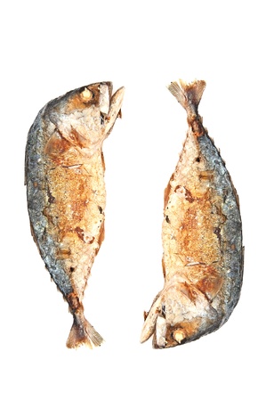 Fried mackerel Fish on white background の写真素材