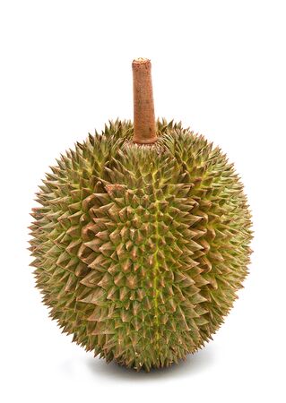 Durian on white backgroundの写真素材