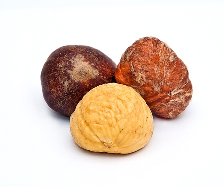 Hazelnut isolated on white background の写真素材