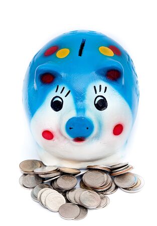 coin and piggy bank isolated on white background  の写真素材