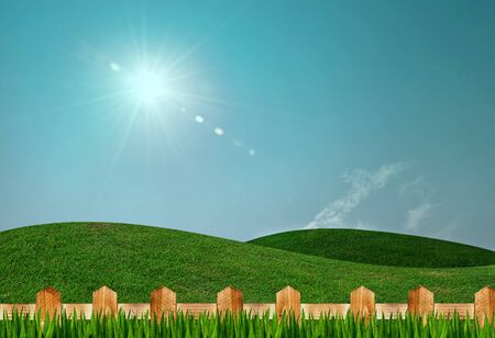 green field and sun skyの写真素材