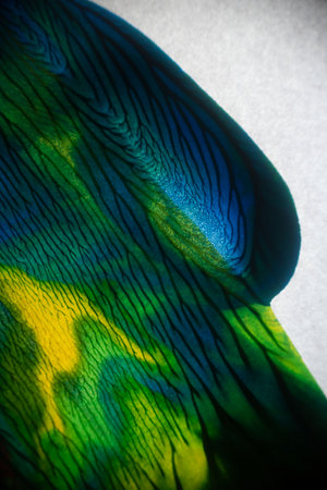 Abstract Background Colour Mix and Flow
