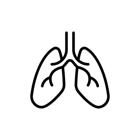 This minimalist outline of human lungs represents health and respiratory anatomy. Ideal for medical education, wellness projects, and health awareness graphics.のイラスト素材