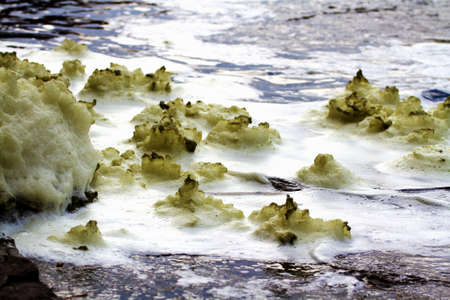Ecology. Disgusting white-yellow foam on the water.の写真素材