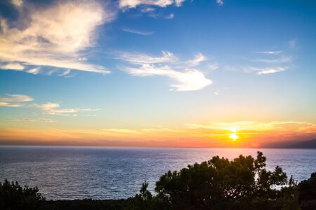 Mediterranean pine silhouette against a blazing sunset.