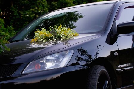 The car in the meadows with wild flowers.の写真素材