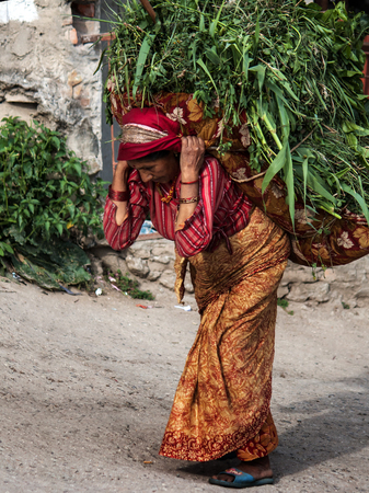 KATMANDU, NEPAL -  APRIL 17 2013: Close-up a woman dressed in a sari is a heavy basket with grass traditional Nepalese way.のeditorial素材