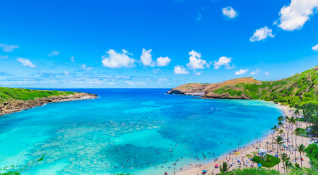 Hanauma Bay in Hawaiiの写真素材
