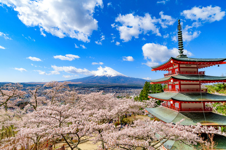 Arakura Sengen Shrine who is famous for Mount Fuji and Cherry tree in Japanのeditorial素材