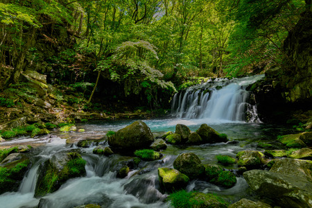 Tateshina waterfall of the fresh greenの写真素材