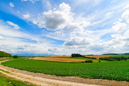 Hokkaido in the summer.の写真素材