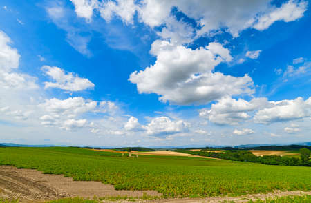 Hokkaido in the summer.の写真素材