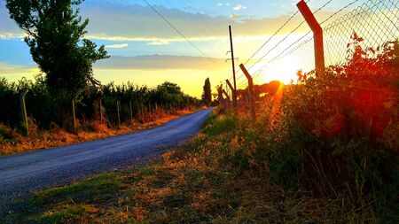 Road to sunの写真素材