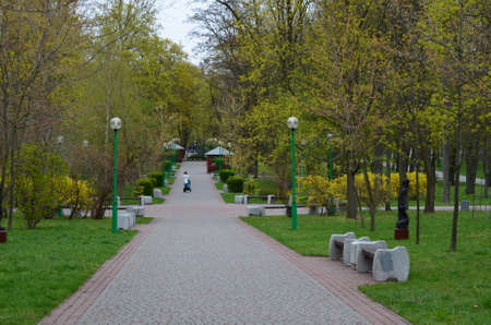 Walk in the park