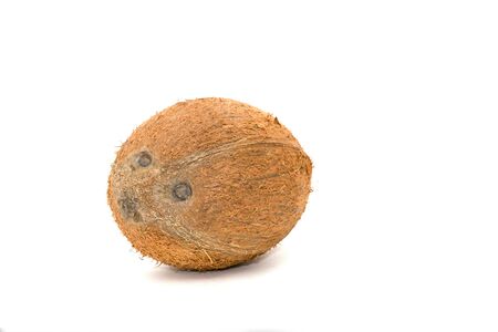 A coconut on a whitebackgroundの写真素材