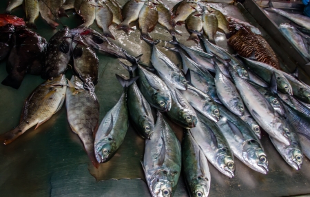 Various of seafood on the market  Thailand, Phuket の写真素材