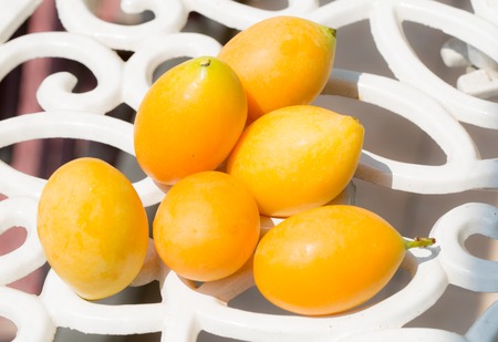 Marian plum laying on white iron table outside の写真素材