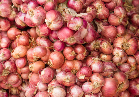 Shallot onion background from the marketの写真素材