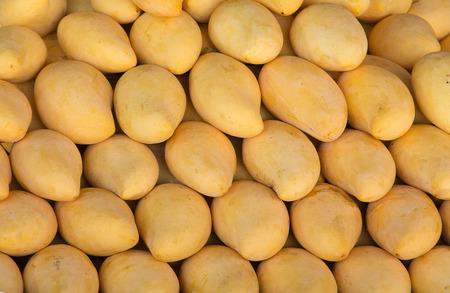 Thai yellow mango background (thai market)の写真素材
