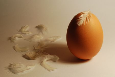 eggの写真素材