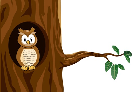 funny owl cartoonのイラスト素材