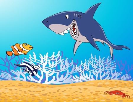 sea lifeのイラスト素材