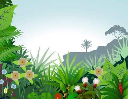 beautiful forest backgroundのイラスト素材