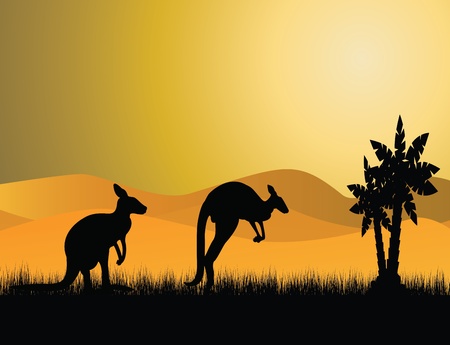 two kangaroo silhouetteのイラスト素材