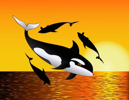 whale in the oceanのイラスト素材