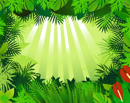 tropical forest backgroundのイラスト素材