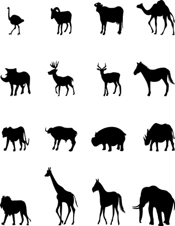 animal silhouette collectionのイラスト素材