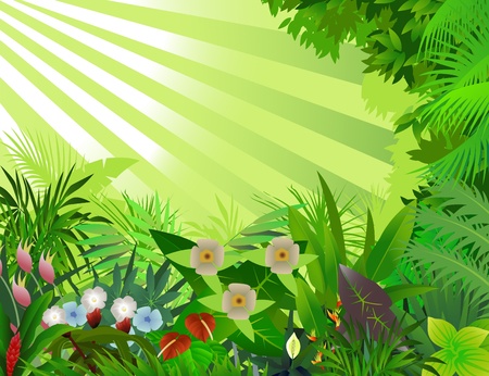 beautiful forest backgroundのイラスト素材