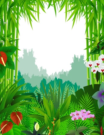 beautiful forest backgroundのイラスト素材