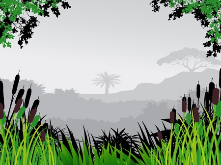 nature forest backgroundのイラスト素材