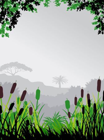 nature forest backgroundのイラスト素材