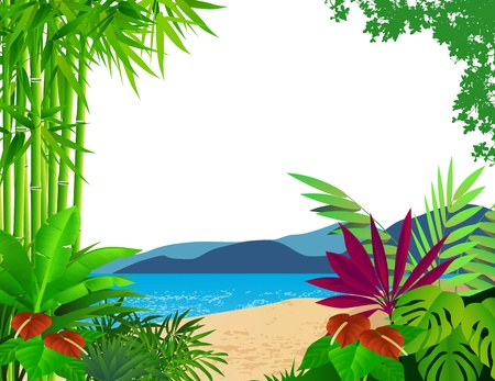 beautiful forest backgroundのイラスト素材