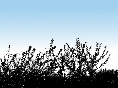 grass silhouette backgroundのイラスト素材