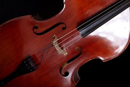 Contrabass in front of black backgroundの写真素材