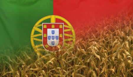 Nutrition food concept corn field in sunny afternoon light merged with fabric flag of Portugal
