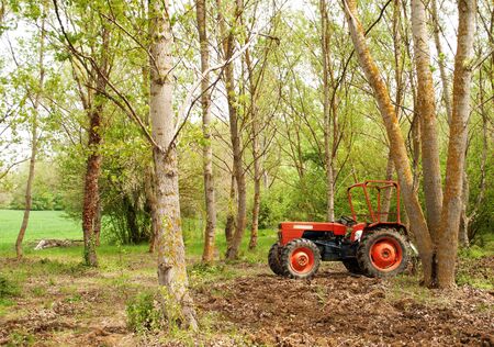 tractor stopped between the treesの写真素材