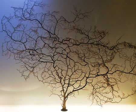 miniature treeの写真素材