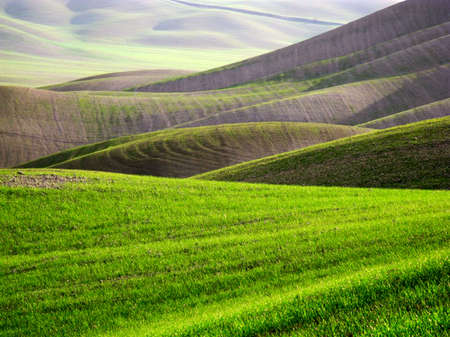 green hills