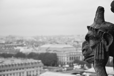 panorama with Gargoilleの写真素材