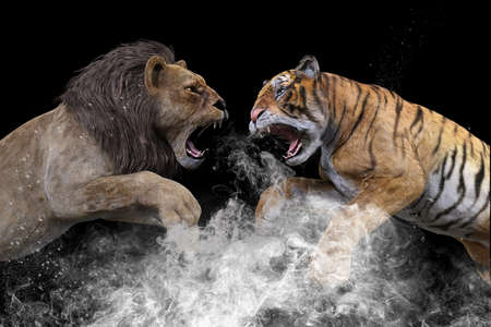 A huge male lion and a lithe tiger fight with their tusks bared for pride.3D illustration 3D renderingの写真素材