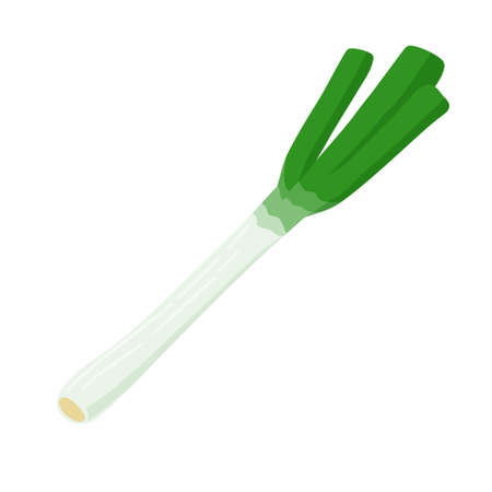 Leek.Vector illustration that is easy to edit.のイラスト素材